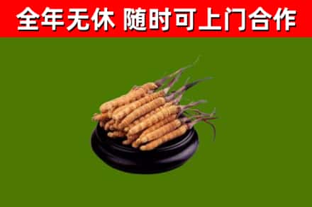 通城县烟酒回收冬虫夏草.jpg